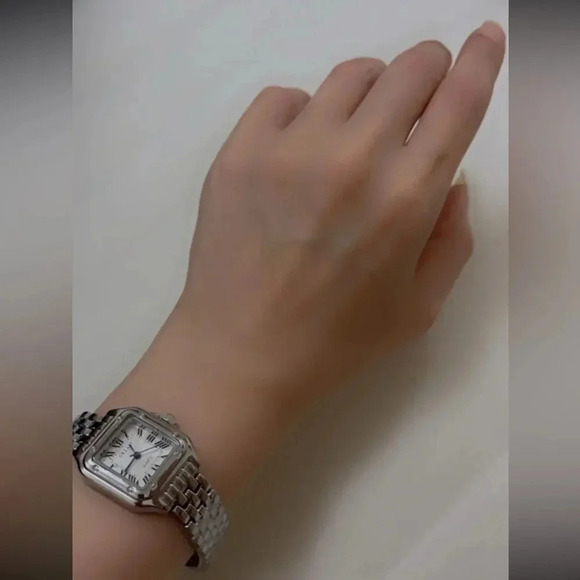 Panthere Classic Rectangle Stainless Steel Watch - Picture 16 of 16